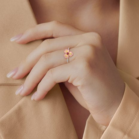 DRG-34363 (5) DRG-34363 (5)