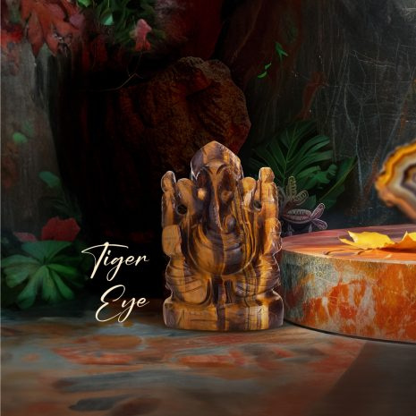 1000X1000_Tiger-Eye 1000X1000_Tiger-Eye