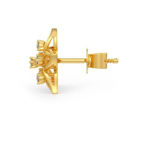 DER-31175 (3) DER-31175 (3)