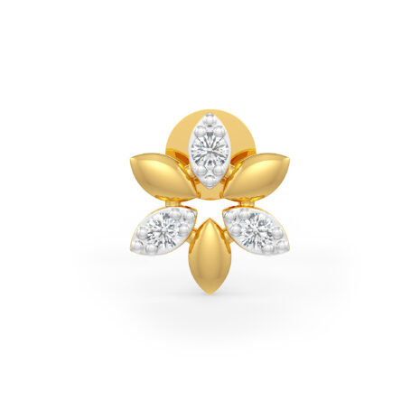 DER-36538 (2) DER-36538 (2)