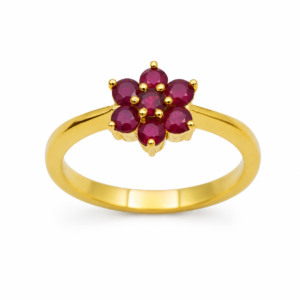 Daily Sol Ruby Ring in 14/18 kt Gold